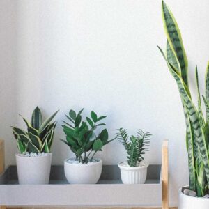 hero section bg
